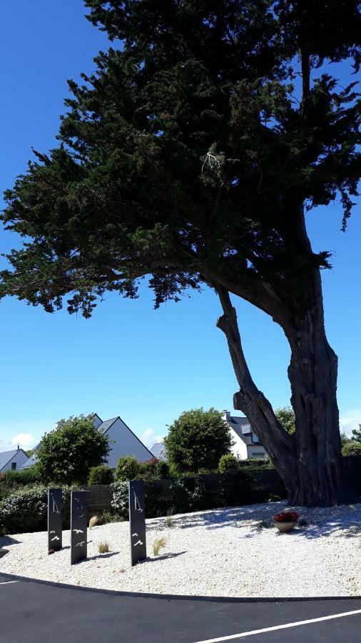 Aupres De Mon Arbre Acomodação com café da manhã Saint-Gildas-de-Rhuys Exterior foto